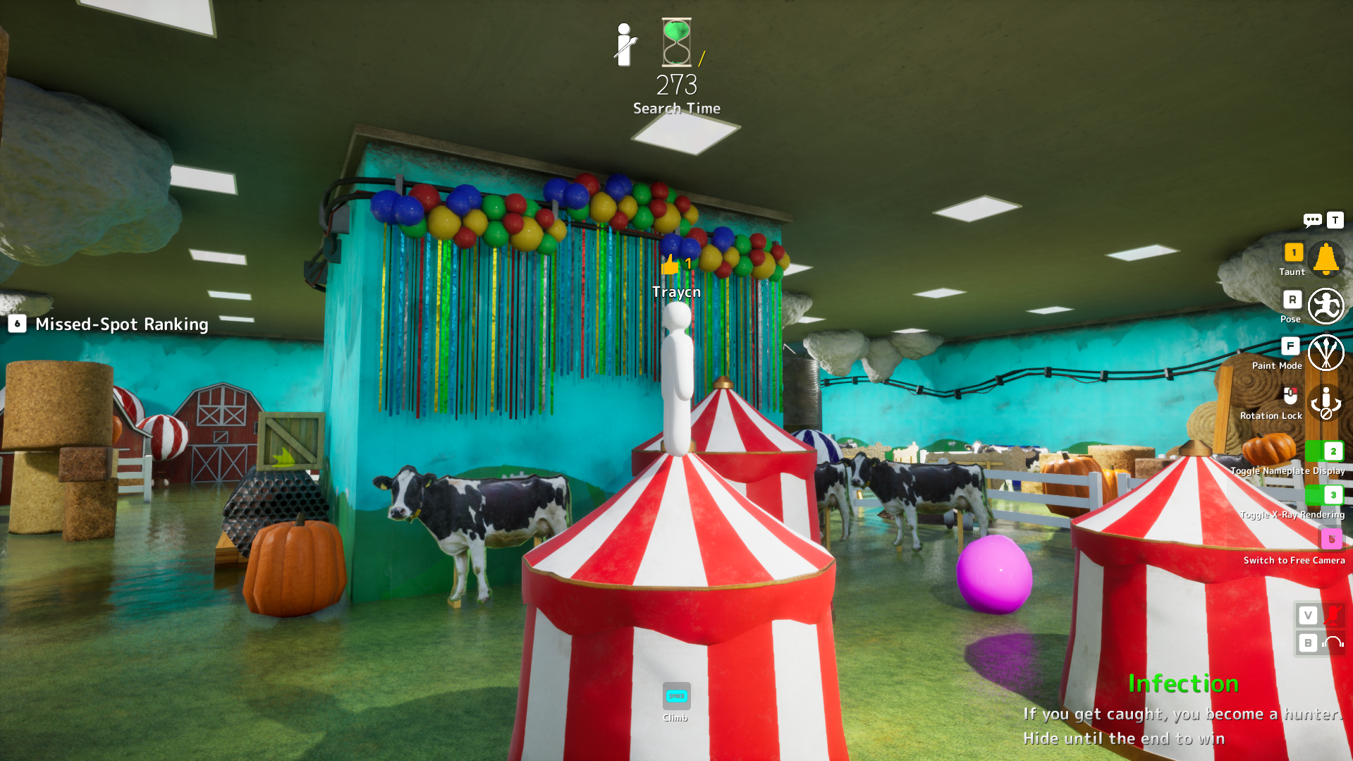 Ceiling Balloon Row hiding spot on Indoor Country